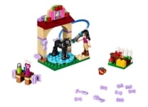 LEGO® Χώρος Πλυσίματος του Πουλαριού