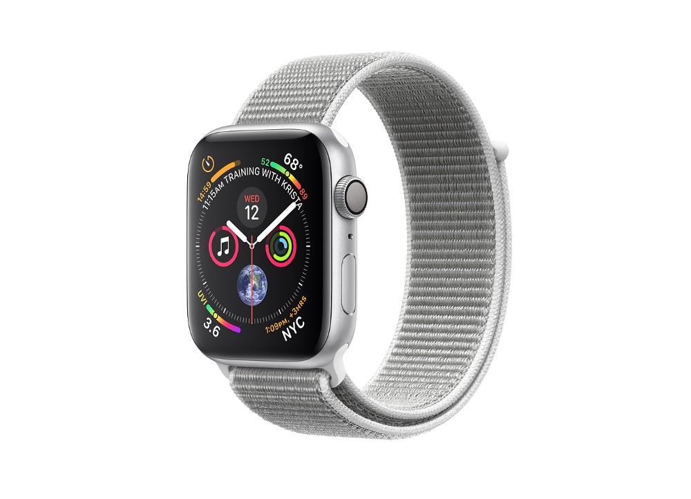 sport loop seashell