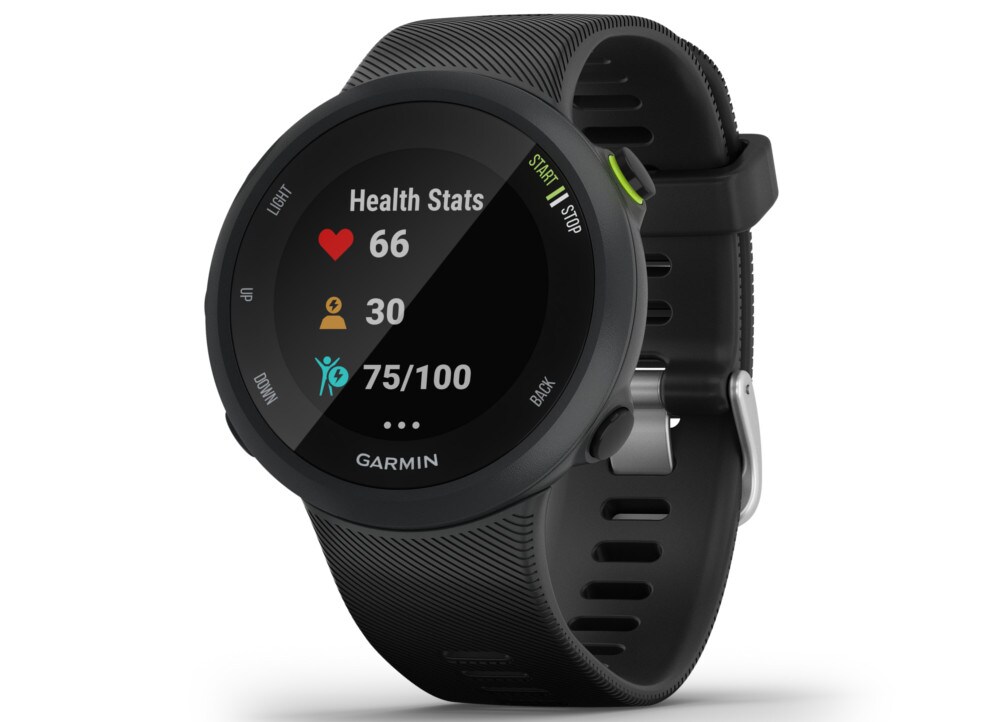 smartwatch garmin forerunner 45 plus