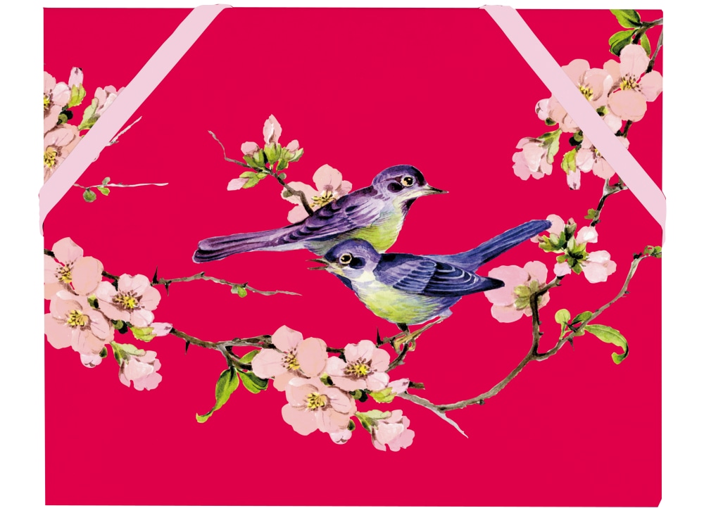  Mini Red Birds Public