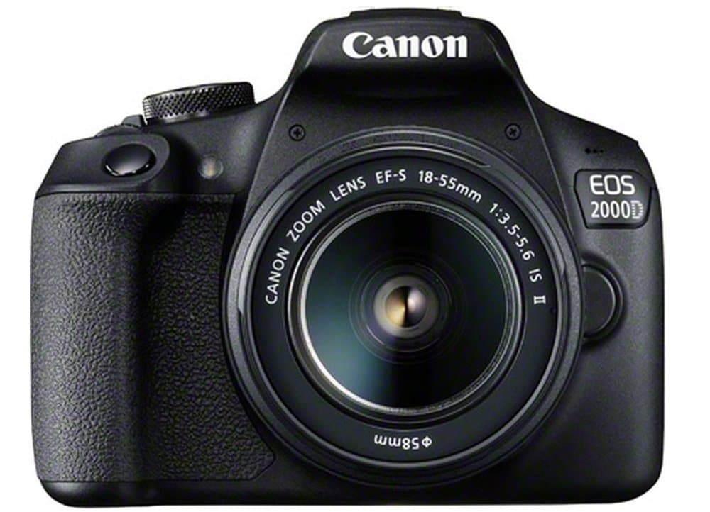 Canon eos 2000d kit примеры фото