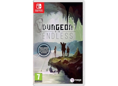 download dungeon of the endless switch