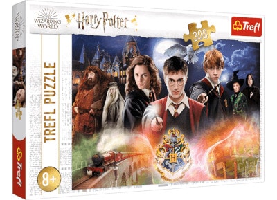 Παζλ Trefl Harry Potter - The Secret Harry Potter (300 Κομμάτια)