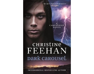Dark Carousel image 0