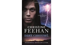 Dark Carousel