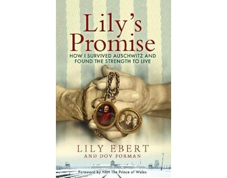 Lily's Promise image 0