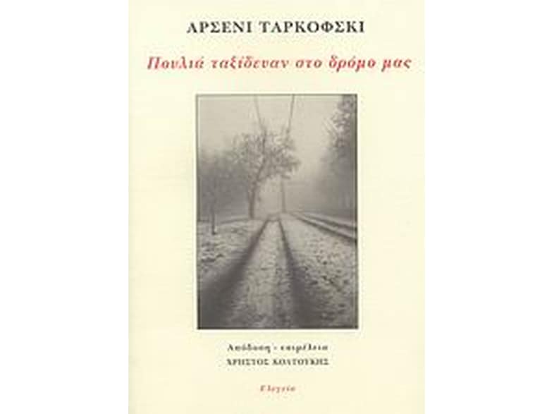 Πουλιά ταξίδευαν στο δρόμο μας