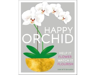 Happy Orchid image 0
