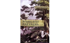 ΝΥΧΤΕΣ ΣΤΗΝ ΠΛΕΥΡΩΝΑ