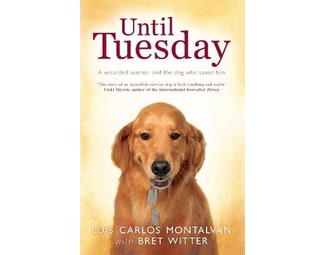 Until Tuesday image 0