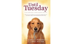 Until Tuesday