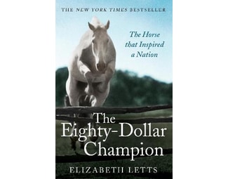 Eighty Dollar Champion image 0