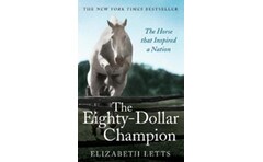 Eighty Dollar Champion