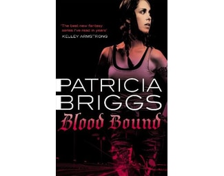 Blood Bound image 0