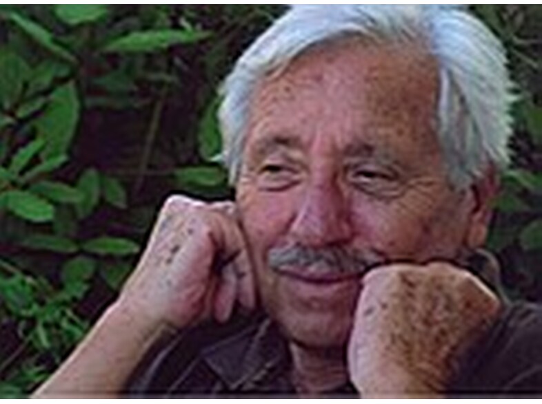 Author picture