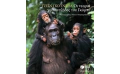 Οι νεαροί χιμπαντζήδες του Γκόμπε