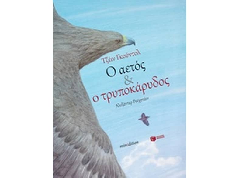 Ο αετός και ο τρυποκάρυδος