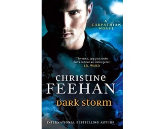 Dark Storm image 0