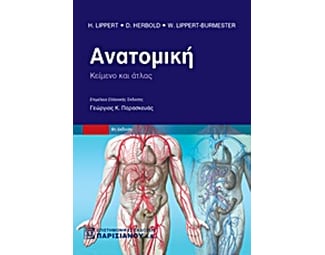 Ανατομική image 0