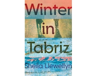 Winter in Tabriz image 0