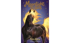 Moonlight Riders: Fire Horse