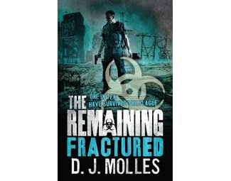 Remaining - Fractured image 0