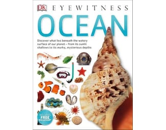 Ocean image 0