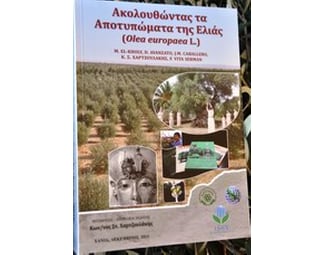 Ακολουθώντας τα αποτυπώματα της ελιάς image 0