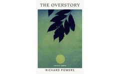 Overstory