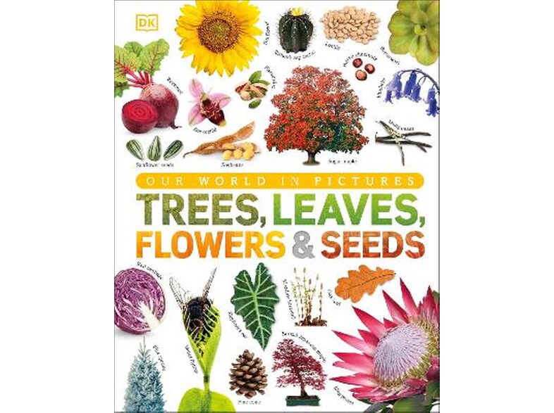 Our World in Pictures: Trees, Leaves, Flowers Seeds