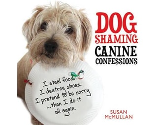 Dog Shaming image 0
