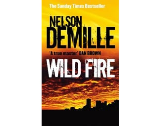 Wild Fire v. 4 image 1