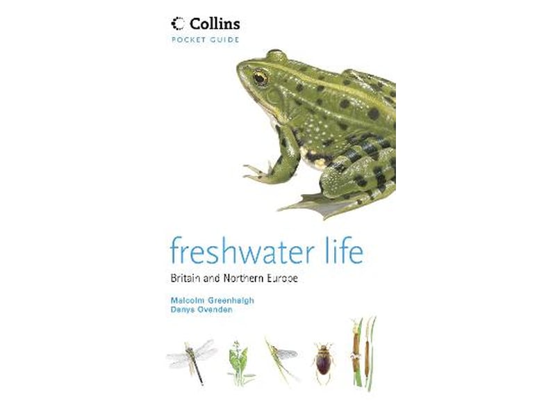 Freshwater Life