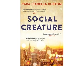 Social Creature image 0