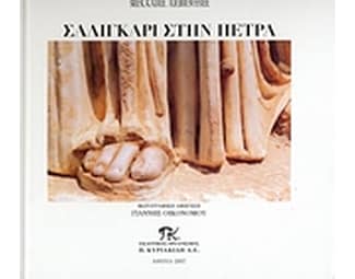 Σαλιγκάρι στην πέτρα image 0