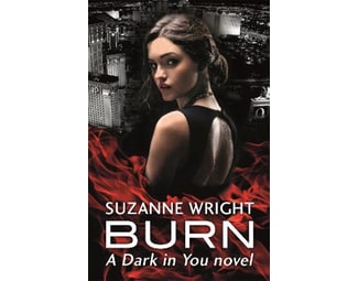 Burn image 0
