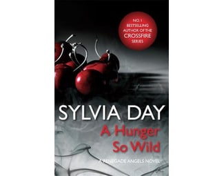 Hunger So Wild (A Renegade Angels Novel) image 0