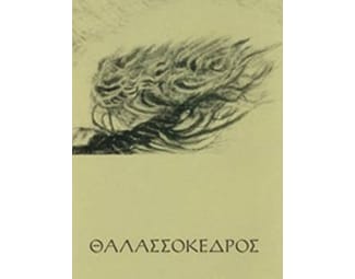 Θαλασσόκεδρος image 0