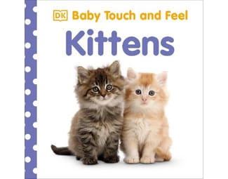 Baby Touch and Feel Kittens image 0