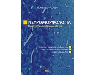 Νευρομορφολογία, Η λεπτή υφή του νευρικού ιστού image 0