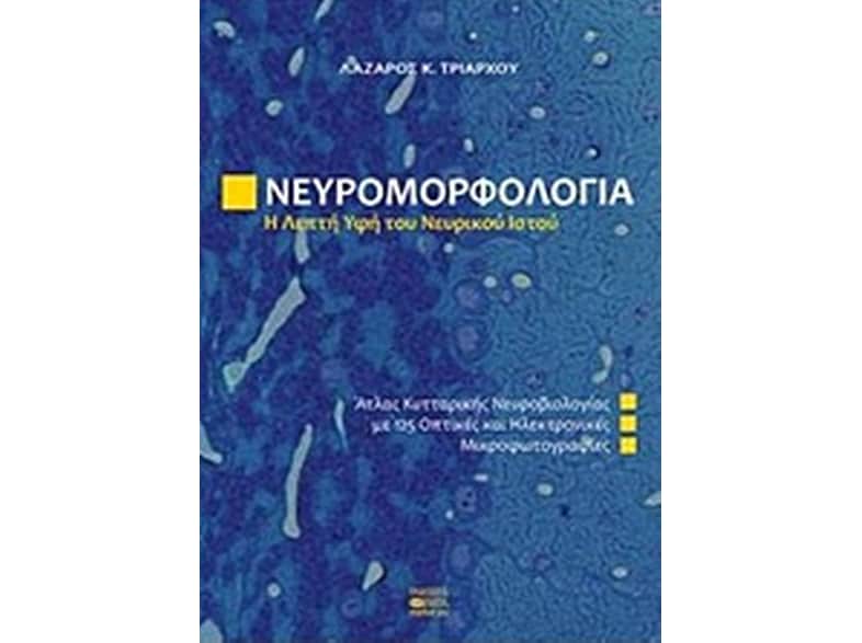 Νευρομορφολογία, Η λεπτή υφή του νευρικού ιστού