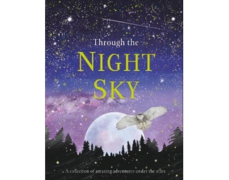 Through the Night Sky image 0