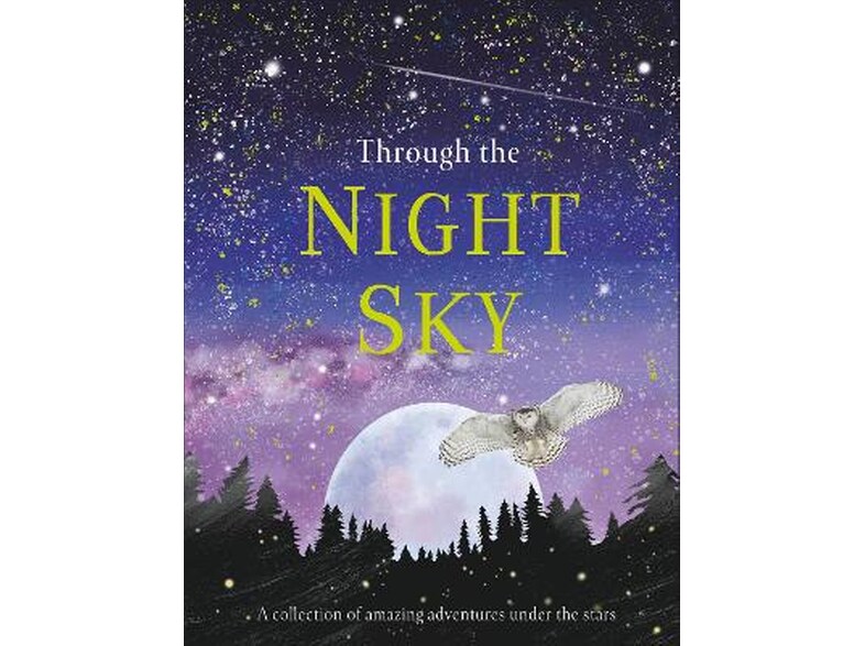 Through the Night Sky
