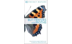Butterflies and Moths