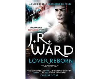 Lover Reborn image 0