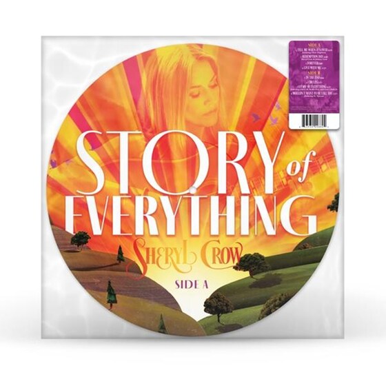 Story Of Everthing (Picture Vinyl) image 4