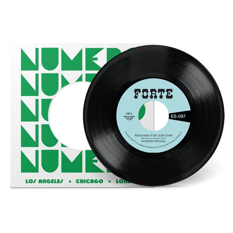 Reaching For Our Star (LP 7)