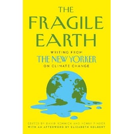 Fragile Earth