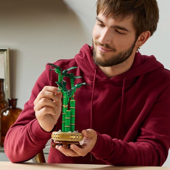 LEGO® Botanicals Lucky Bamboo (10344) image 10