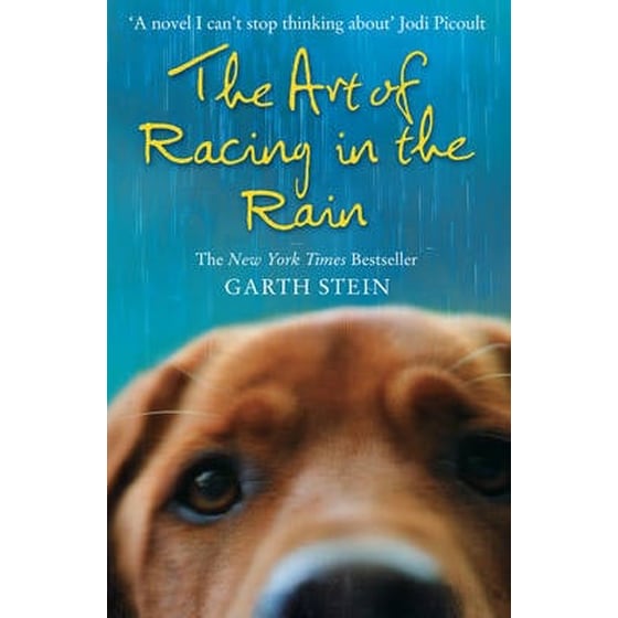 The Art of Racing in the Rain image 0